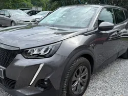 Gris Utilisé 2021 Peugeot 2008 Business-Line SUV | 11 990 € (Bon prix)