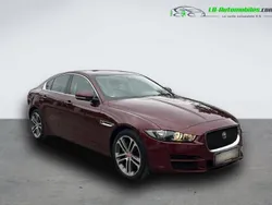 Utilisé 2017 Jaguar XE Berline | 21 900 € (Prix juste)