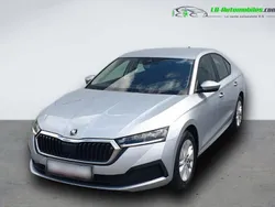 Utilisé 2024 Skoda Octavia Berline | 26 900 € (Super prix)
