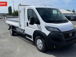 Blanc Utilisé 2023 Fiat Ducato Van | 45 000 €