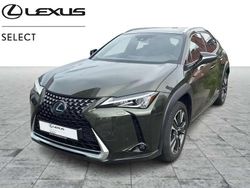 Vert Utilisé 2021 Lexus UX 250h Executive Line SUV | 26 990 € (Prix juste)
