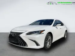 Utilisé 2023 Lexus ES300H Berline | 56 200 € (Prix assez cher)
