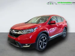 Utilisé 2019 Honda CR-V SUV | 23 600 € (Prix juste)