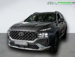 Utilisé 2022 Hyundai Santa Fe SUV | 43 500 € (Prix assez cher)
