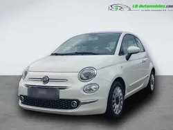 Utilisé 2019 Fiat 500 Citadine | 13 400 € (Prix assez cher)