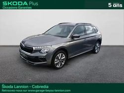Gris graphite métallisé Utilisé 2025 Skoda Kamiq Selection SUV | 24 990 € (Bon prix)