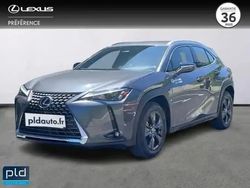Gris Utilisé 2025 Lexus UX 300h SUV | 34 990 €