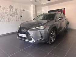 Gris Utilisé 2021 Lexus UX 300e Executive Line SUV | 22 900 € (Bon prix)