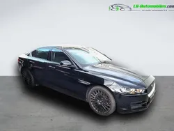Utilisé 2017 Jaguar XE Berline | 21 700 € (Prix assez cher)