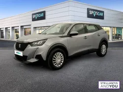 Gris Utilisé 2020 Peugeot 2008 Active SUV | 12 790 € (Bon prix)