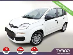 Blanc Nouvelle 2025 Fiat Panda Citadine | 13 759 € (Prix juste)