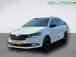Utilisé 2019 Skoda Fabia Break | 19 900 € (Prix assez cher)