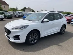 Blanc glacier Utilisé 2024 Ford Kuga ST-Line SUV | 29 299 € (Prix juste)