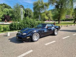Noir Utilisé 1982 Chevrolet Corvette Coupé | 8 400 €