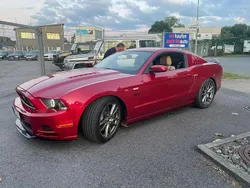 Mauve Utilisé 2013 Ford Mustang GT Coupé | 28 500 € (Prix assez cher)