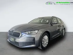 Utilisé 2025 Skoda Octavia Break | 29 300 € (Super prix)