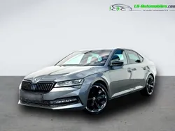 Utilisé 2023 Skoda Superb Berline | 39 200 € (Prix assez cher)
