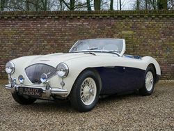 Blanc Occasion 1955 Austin Healey 100 Cabriolet | 85 950 €