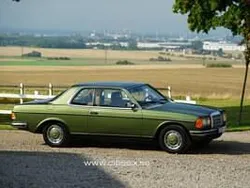Vert Utilisé 1977 Mercedes 280 Coupé | 19 500 €