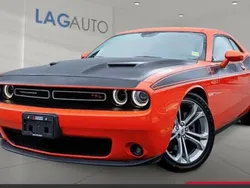 Utilisé 2017 Dodge Challenger Coupé | 33 880 € (Super prix)
