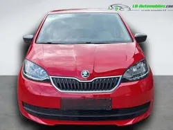 Utilisé 2019 Skoda Citigo Citadine | 13 400 € (Prix juste)
