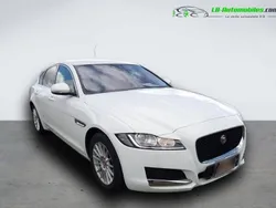 Utilisé 2019 Jaguar XF Berline | 24 800 €