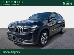 Noir Utilisé 2024 Skoda Kodiaq Selection SUV | 44 990 € (Prix assez cher)
