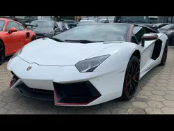 Blanc Utilisé 2015 Lamborghini Aventador Cabriolet | 335 900 €