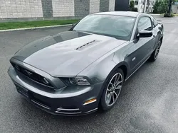 Gris Utilisé 2014 Ford Mustang GT Premium Coupé | 39 000 € (Prix assez cher)
