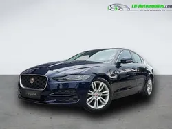 Utilisé 2020 Jaguar XE Berline | 32 400 €