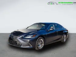 Utilisé 2025 Lexus ES300H Berline | 65 700 € (Prix cher)