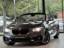 Gris Utilisé 2016 BMW 218 Sport Line Cabriolet | 13 950 € (Bon prix)