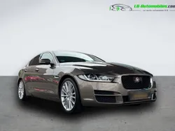 Utilisé 2016 Jaguar XE Berline | 22 300 € (Prix juste)