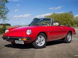 Rouge Utilisé 1980 Alfa Romeo Spider Veloce Cabriolet | 23 900 €