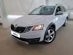 Blanc Utilisé 2020 Skoda Octavia Break | 21 090 €