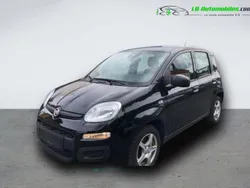 Utilisé 2020 Fiat Panda Citadine | 11 900 € (Prix assez cher)