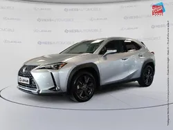 Gris Utilisé 2023 Lexus UX 250h SUV | 32 999 € (Prix juste)