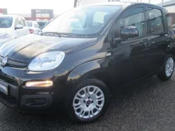 Utilisé 2019 Fiat Panda Easy Citadine | 6 900 € (Prix juste)