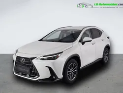Utilisé 2023 Lexus NX350h | 49 800 € (Prix juste)