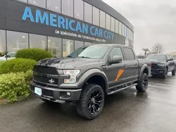 Gris Utilisé 2016 Ford F-150 Pick-up | 106 900 €