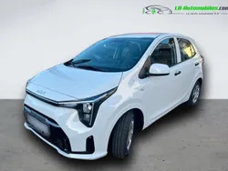 Utilisé 2025 Kia Picanto Citadine | 18 800 € (Prix juste)