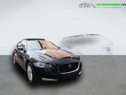 Utilisé 2019 Jaguar XF Berline | 26 200 €