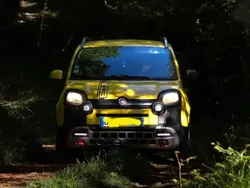 Jaune Utilisé 2015 Fiat Panda Cross Cross Citadine | 11 000 €