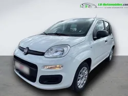 Utilisé 2020 Fiat Panda Citadine | 10 800 € (Prix juste)