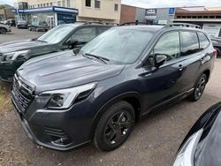 Gris Nouvelle 2025 Subaru Forester Platinum SUV | 38 810 €
