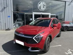 Rouge Utilisé 2024 Kia Sportage 2 SUV | 28 490 € (Super prix)