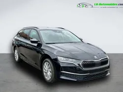 Utilisé 2025 Skoda Octavia Break | 38 200 € (Prix juste)