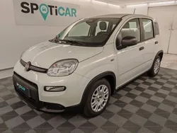 Blanc Utilisé 2025 Fiat Panda Classica Citadine | 15 490 €