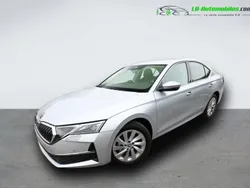 Utilisé 2025 Skoda Octavia Berline | 34 400 € (Prix juste)
