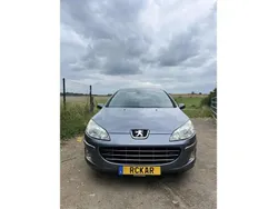 Gris Utilisé 2009 Peugeot 407 Berline | 2 890 € (Prix assez cher)